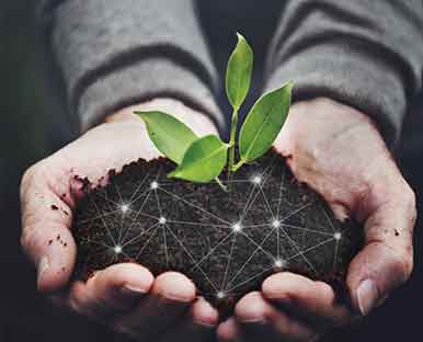 Adulteration-free goods