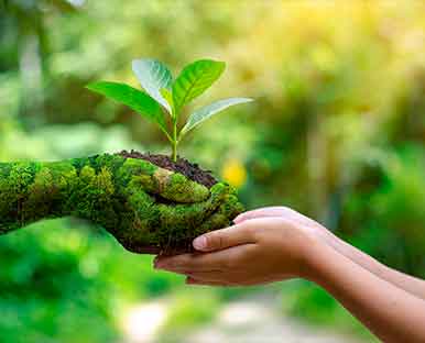 Sustainable manufacturing process